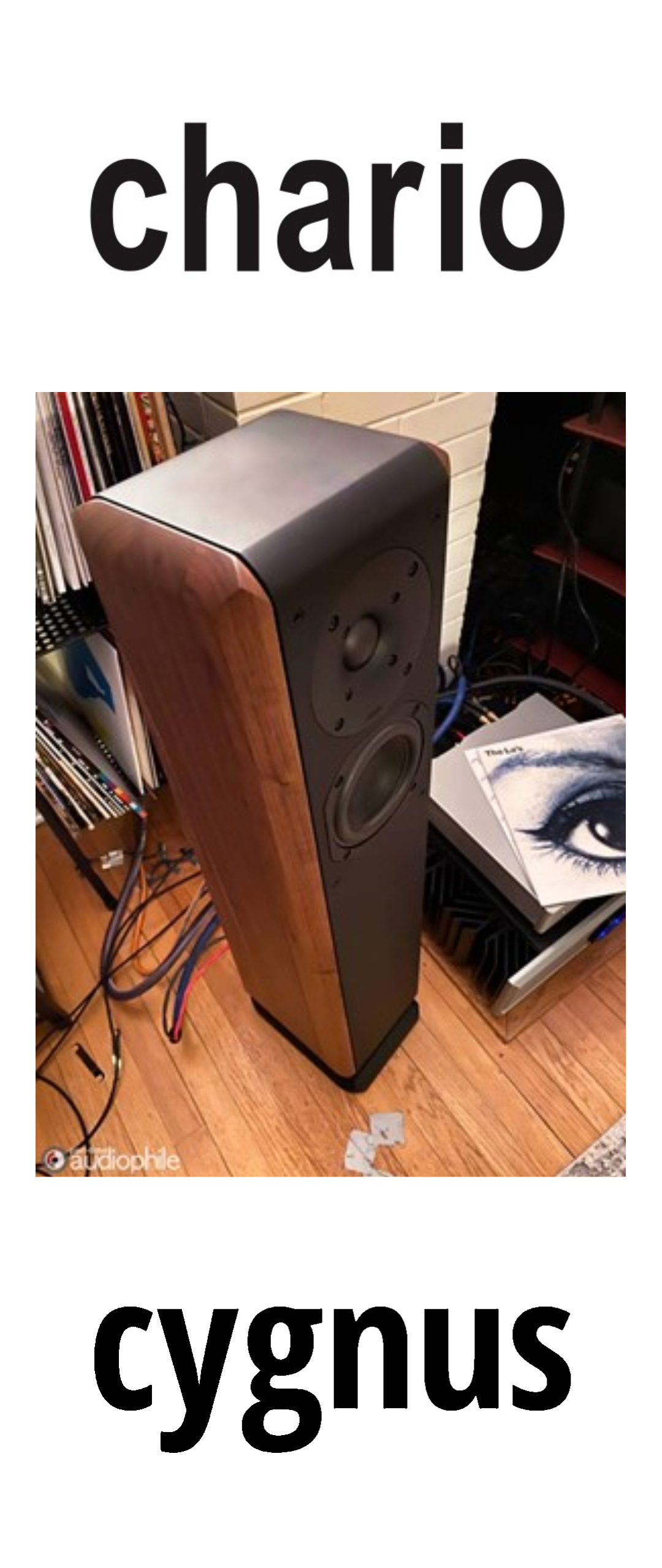 Chario Constellation Cygnus speaker rear connection set up and tweeter close up